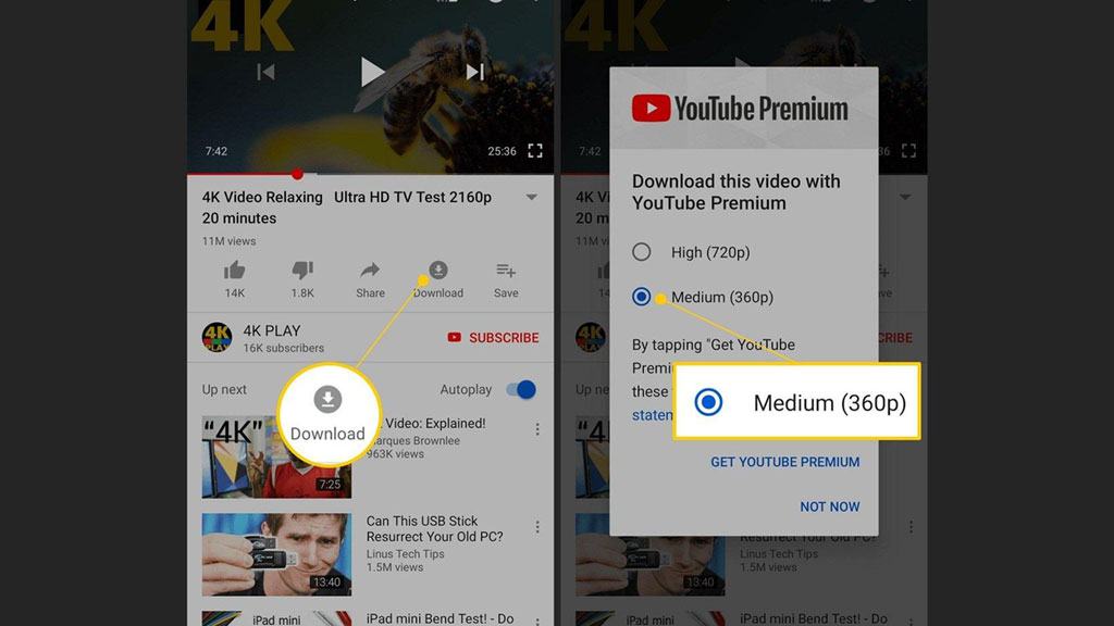 Youtube Premium Inside App